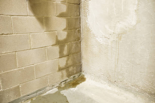 Vochtige muur in kelder